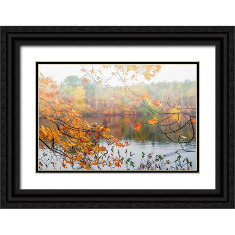Autumn Pond Black Ornate Wood Framed Art Print with Double Matting by Ryan, Brooke T.