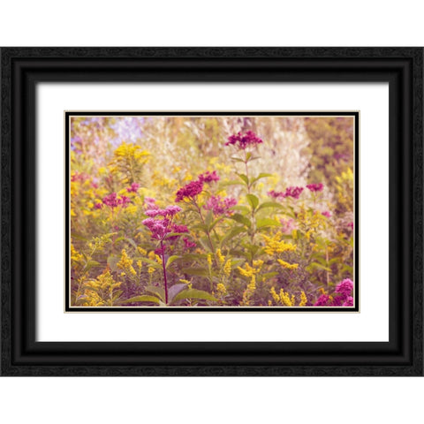 Plum and Mustard Wildflowers Black Ornate Wood Framed Art Print with Double Matting by Ryan, Brooke T.