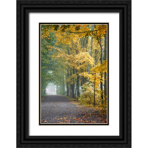 Tunnel Through Misty Forest Black Ornate Wood Framed Art Print with Double Matting by Ryan, Brooke T.
