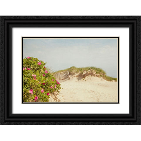 Rosa Rugosa Black Ornate Wood Framed Art Print with Double Matting by Ryan, Brooke T.