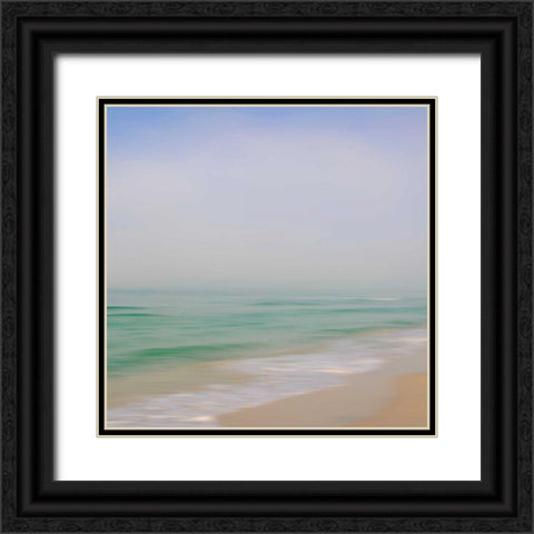 Seacoast 184 Black Ornate Wood Framed Art Print with Double Matting by Rowell, David E
