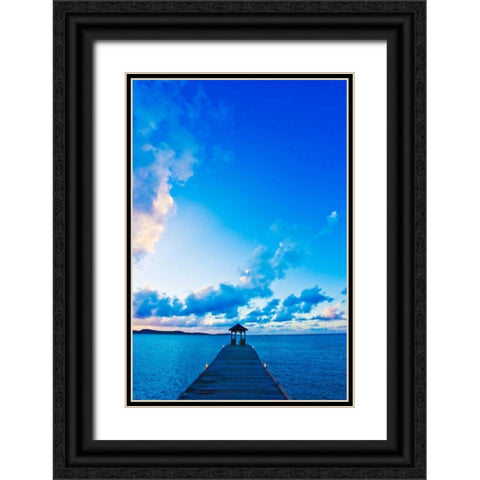 Dock Black Ornate Wood Framed Art Print with Double Matting by Resnick, Lorne