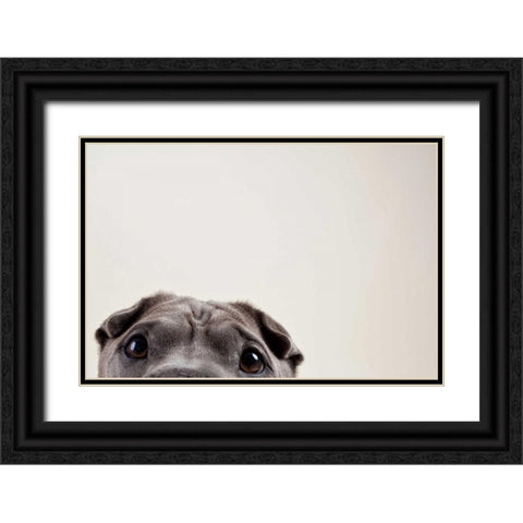 Peleis Eyes Black Ornate Wood Framed Art Print with Double Matting by Sabo, Susan