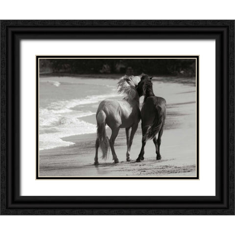 Young Mustangs on Beach Black Ornate Wood Framed Art Print with Double Matting by Scott, Traer