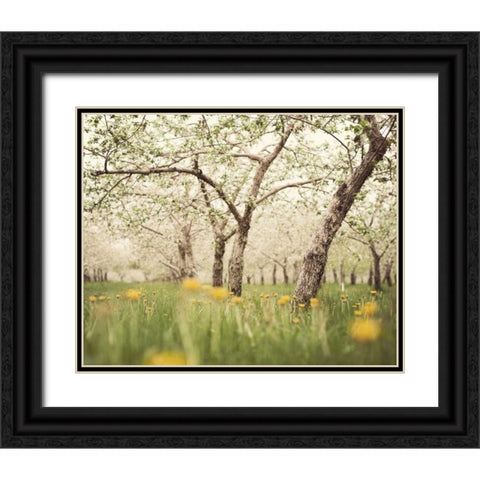 Quiet Orchard Black Ornate Wood Framed Art Print with Double Matting by Suchocki, Irene