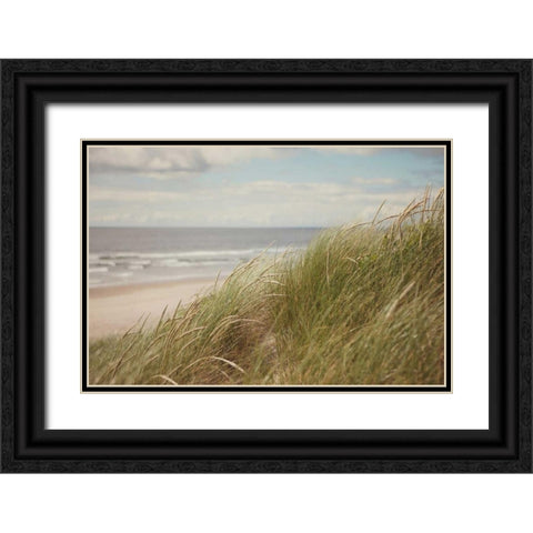 Beach Grass I Black Ornate Wood Framed Art Print with Double Matting by Suchocki, Irene