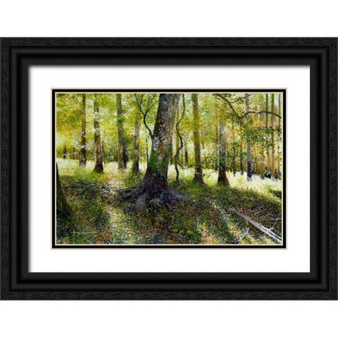 Little Econ River Black Ornate Wood Framed Art Print with Double Matting by Sullivan, Kent