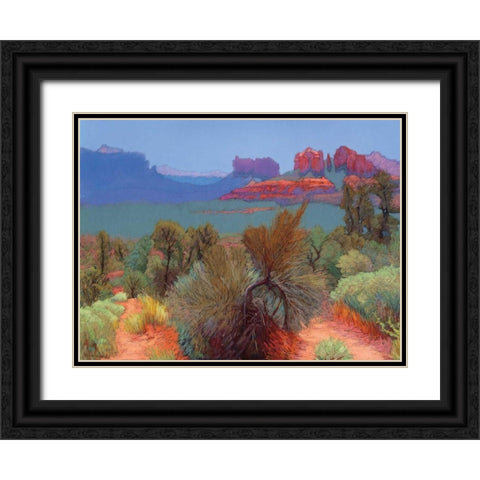High Desert Black Ornate Wood Framed Art Print with Double Matting by Silverwood, Mary