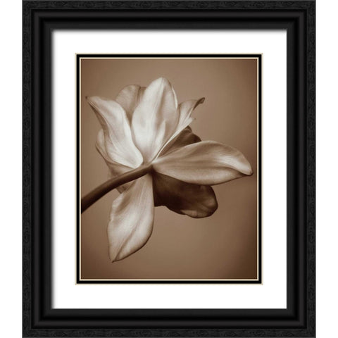 Moonlight Tulip Black Ornate Wood Framed Art Print with Double Matting by Swanson, Rebecca