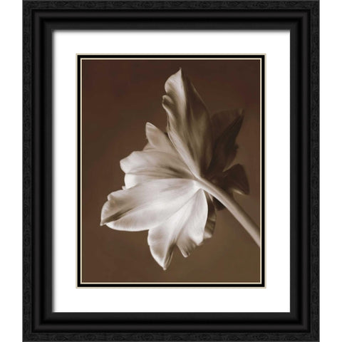 Moonglow Tulip Black Ornate Wood Framed Art Print with Double Matting by Swanson, Rebecca