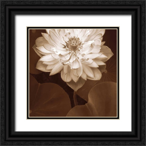 Lotus Welcome Black Ornate Wood Framed Art Print with Double Matting by Swanson, Rebecca