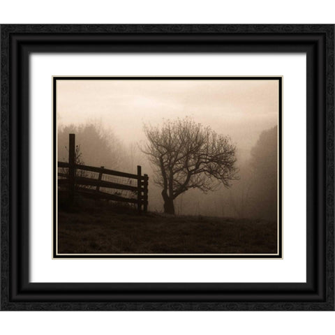 Mountain Meadow Farm Black Ornate Wood Framed Art Print with Double Matting by Triebert, Christine