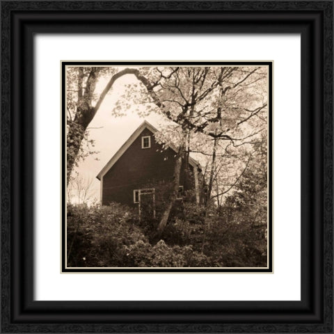 Bough and Barn Black Ornate Wood Framed Art Print with Double Matting by Triebert, Christine
