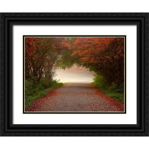 Arc de Triomphe Black Ornate Wood Framed Art Print with Double Matting by Van de Goor, Lars