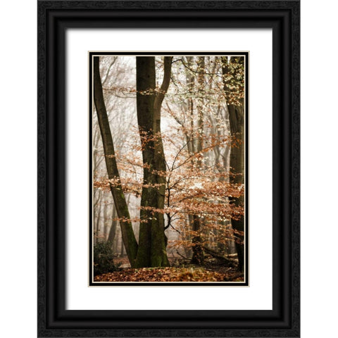 Bronze Tree Black Ornate Wood Framed Art Print with Double Matting by Van de Goor, Lars