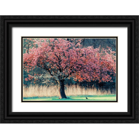Me and My Tree Black Ornate Wood Framed Art Print with Double Matting by Van de Goor, Lars