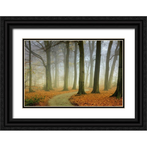 Misty Twisty Black Ornate Wood Framed Art Print with Double Matting by Van de Goor, Lars