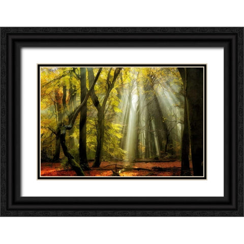 Yellow Leaves Rays Black Ornate Wood Framed Art Print with Double Matting by Van de Goor, Lars