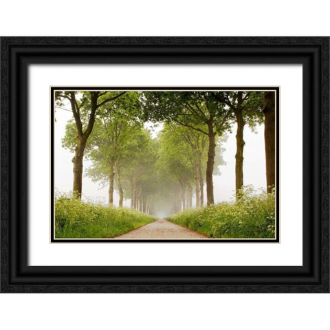 This Appears Black Ornate Wood Framed Art Print with Double Matting by Van de Goor, Lars