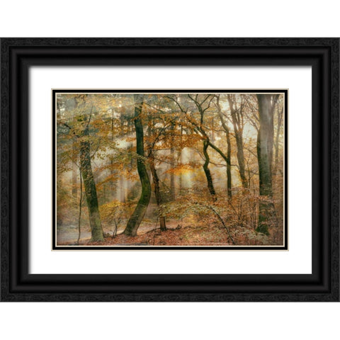 You Cant Hide Your Rays for Me Black Ornate Wood Framed Art Print with Double Matting by Van de Goor, Lars