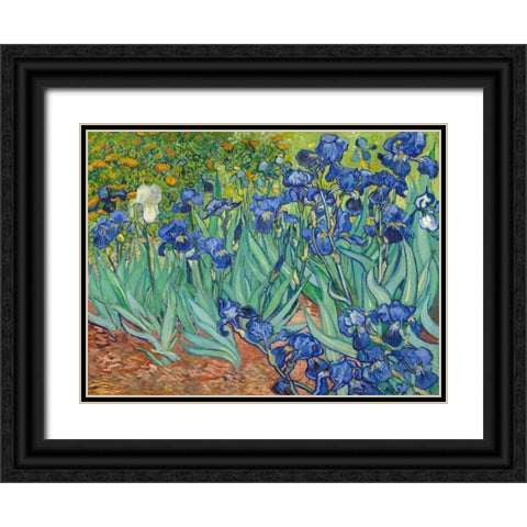 Irises 1889 Black Ornate Wood Framed Art Print with Double Matting by Van Gogh, Vincent