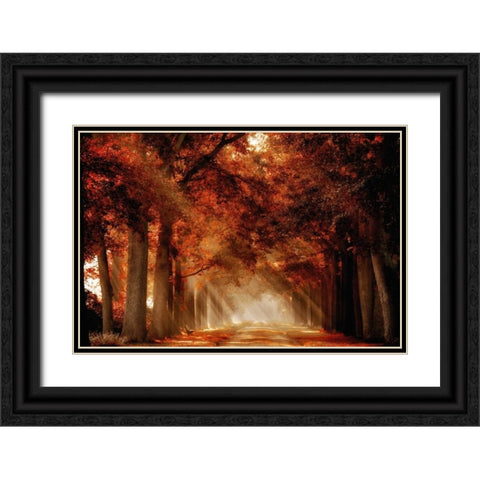 A Seat Not Taken III Black Ornate Wood Framed Art Print with Double Matting by Van de Goor, Lars
