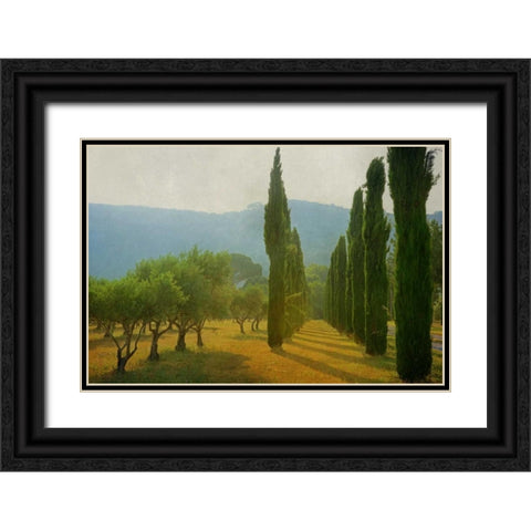 Cypress Shadows Black Ornate Wood Framed Art Print with Double Matting by Van de Goor, Lars
