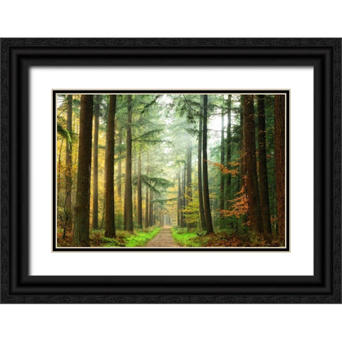 Divide Black Ornate Wood Framed Art Print with Double Matting by Van de Goor, Lars