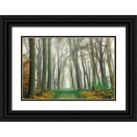 Magic Is Everywhere Black Ornate Wood Framed Art Print with Double Matting by Van de Goor, Lars