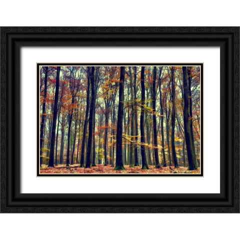Natureâ€™s Palette Black Ornate Wood Framed Art Print with Double Matting by Van de Goor, Lars