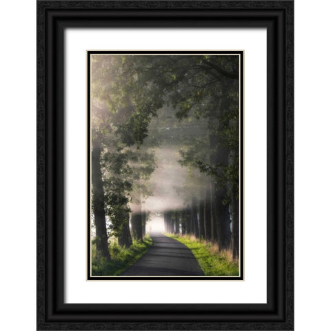 Rays of Fog Black Ornate Wood Framed Art Print with Double Matting by Van de Goor, Lars