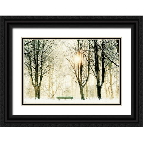 Too Cold To Sit Black Ornate Wood Framed Art Print with Double Matting by Van de Goor, Lars