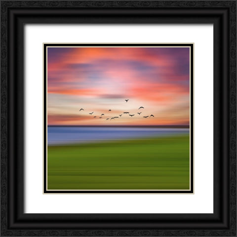 Birds In The Sunset Black Ornate Wood Framed Art Print with Double Matting by Vitomirov, Igor
