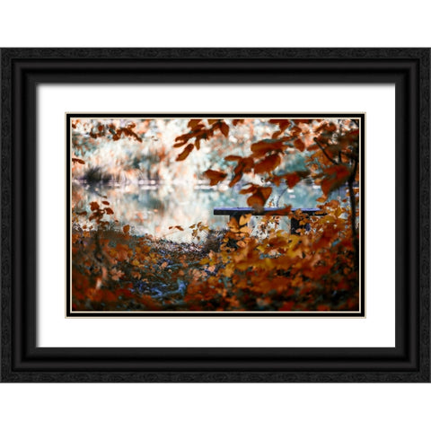 Lonely Place Black Ornate Wood Framed Art Print with Double Matting by Vitomirov, Igor