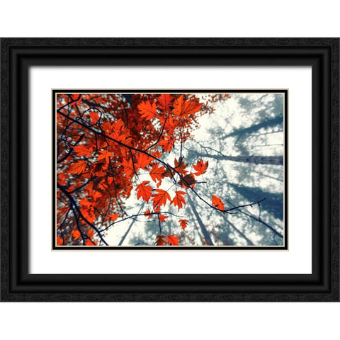 Red Autumn Leaves Black Ornate Wood Framed Art Print with Double Matting by Vitomirov, Igor