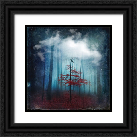 Dream State Black Ornate Wood Framed Art Print with Double Matting by Wustenhagen, Dirk