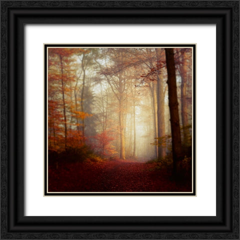 Fall Hike Black Ornate Wood Framed Art Print with Double Matting by Wustenhagen, Dirk