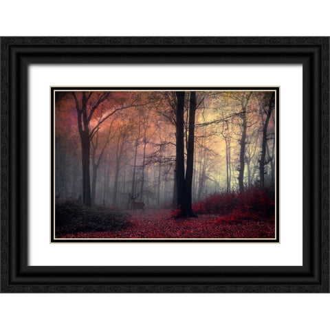 Forest Dream Black Ornate Wood Framed Art Print with Double Matting by Wustenhagen, Dirk
