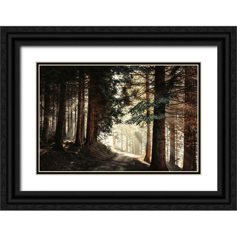 Light Magic Black Ornate Wood Framed Art Print with Double Matting by Wustenhagen, Dirk