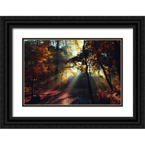 Magic Forest Light Black Ornate Wood Framed Art Print with Double Matting by Wustenhagen, Dirk