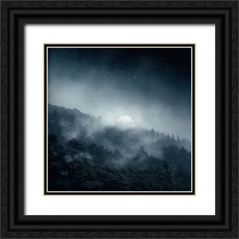 Night Shadows Black Ornate Wood Framed Art Print with Double Matting by Wustenhagen, Dirk