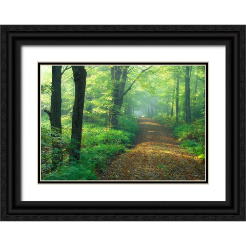 First Light Black Ornate Wood Framed Art Print with Double Matting by Zephyr, Patrick