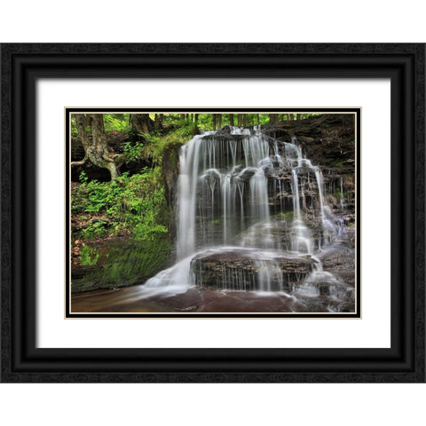 Gunn Brooks Falls Black Ornate Wood Framed Art Print with Double Matting by Zephyr, Patrick