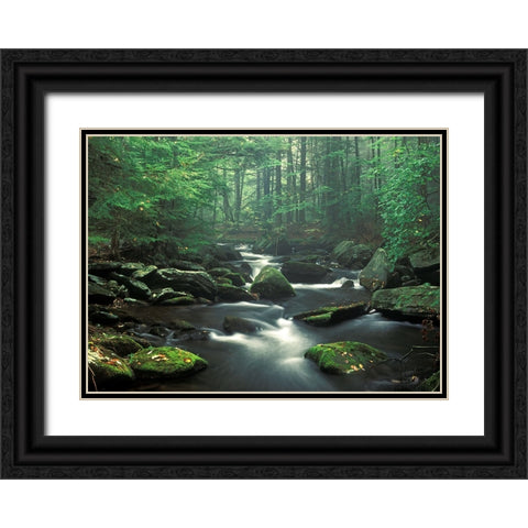 Sawmill River Black Ornate Wood Framed Art Print with Double Matting by Zephyr, Patrick