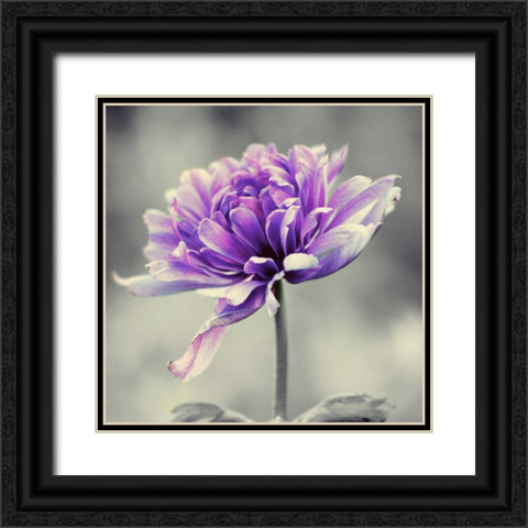 Gorgeous Purple Black Ornate Wood Framed Art Print with Double Matting by Peck, Gail