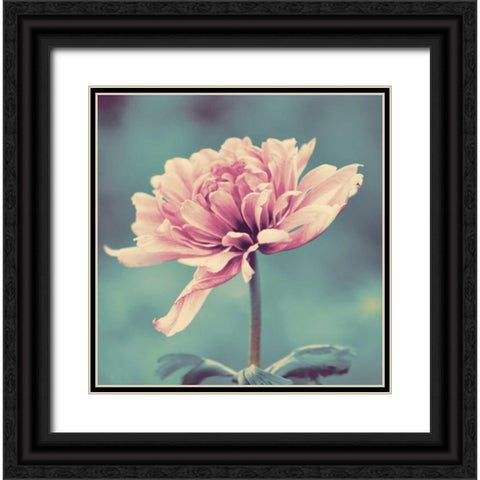 Gorgeous Pink Black Ornate Wood Framed Art Print with Double Matting by Peck, Gail