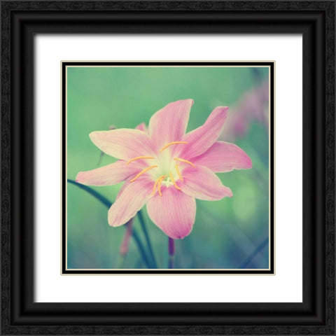 Alone in the Field Black Ornate Wood Framed Art Print with Double Matting by Peck, Gail