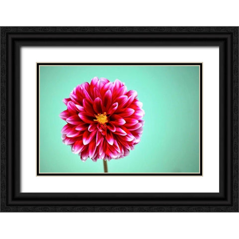 Zenia Black Ornate Wood Framed Art Print with Double Matting by Peck, Gail