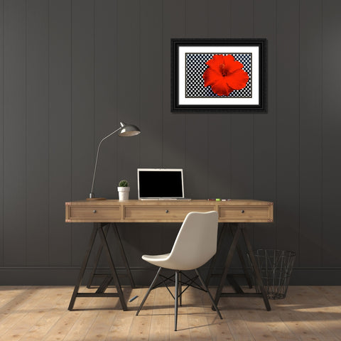 Red Hibiscus Black Ornate Wood Framed Art Print with Double Matting by Peck, Gail