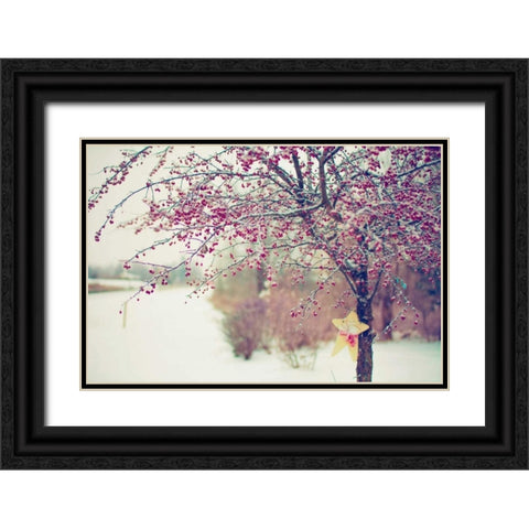 Winter Berries I Black Ornate Wood Framed Art Print with Double Matting by Poynter, Kelly